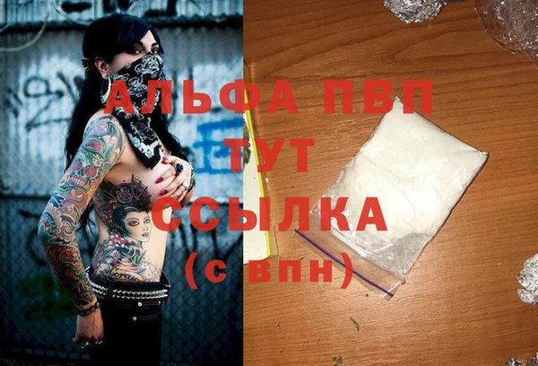 a pvp Новодвинск