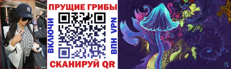 Псилоцибиновые грибы Psilocybe  Старая Русса 